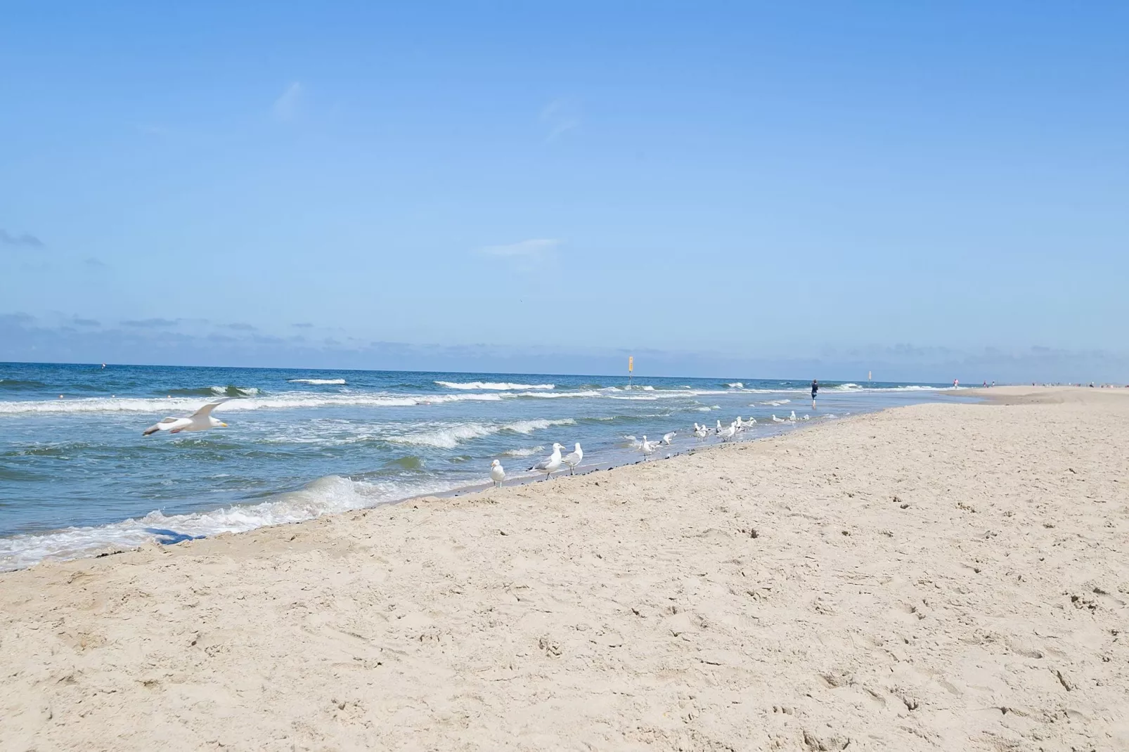 Juttershut Duynpark - Callantsoog-Gebiete Sommer 5 km