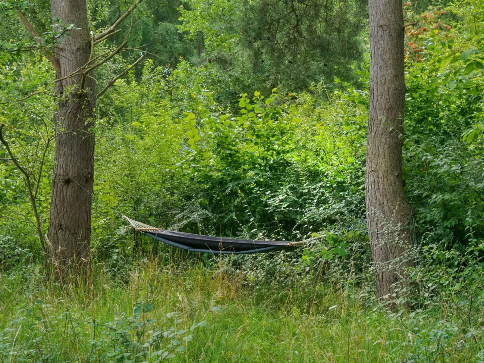 "Gunborg" -  from the sea-Outside