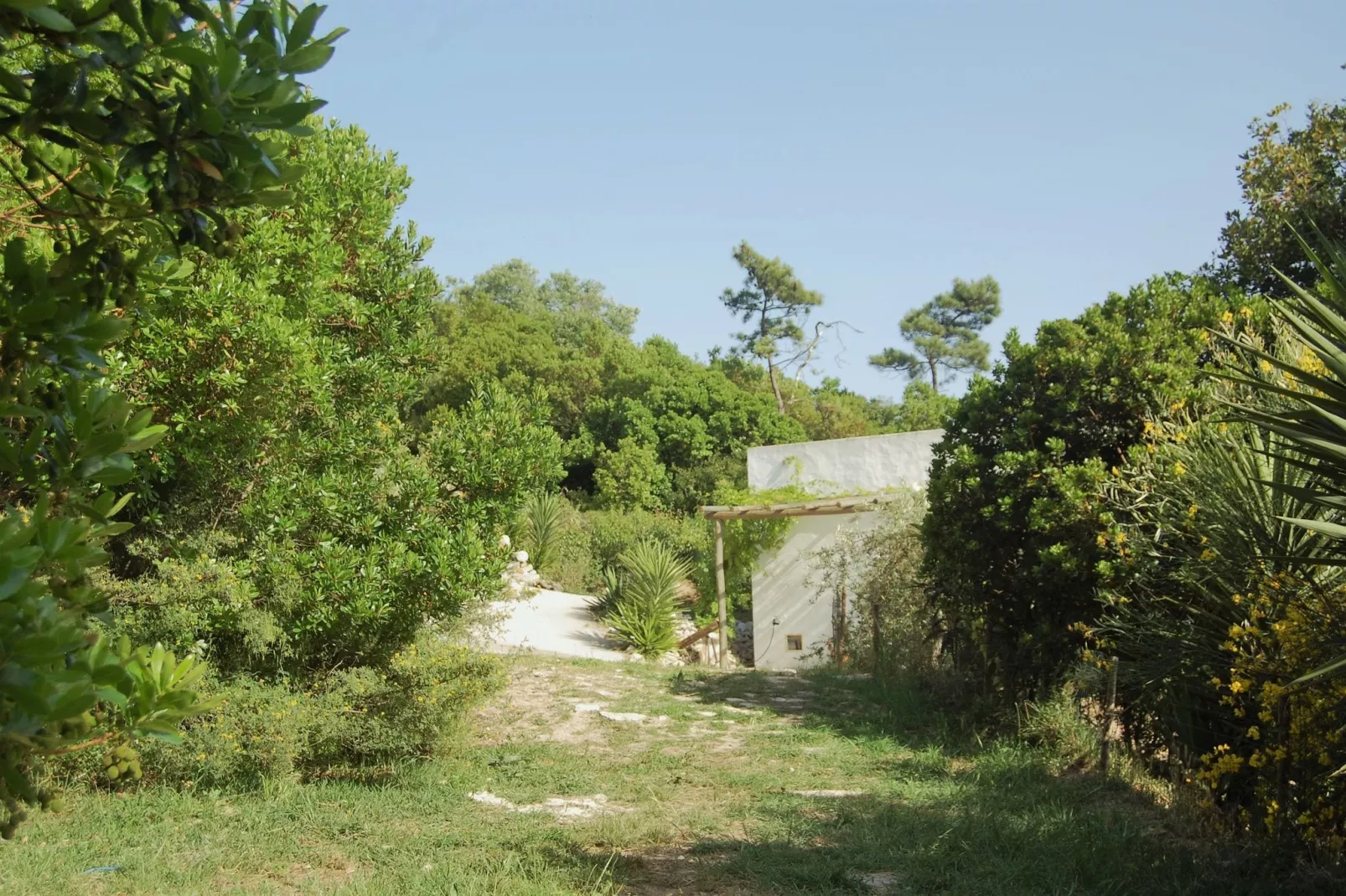 Alto da Maceira-Gardens summer