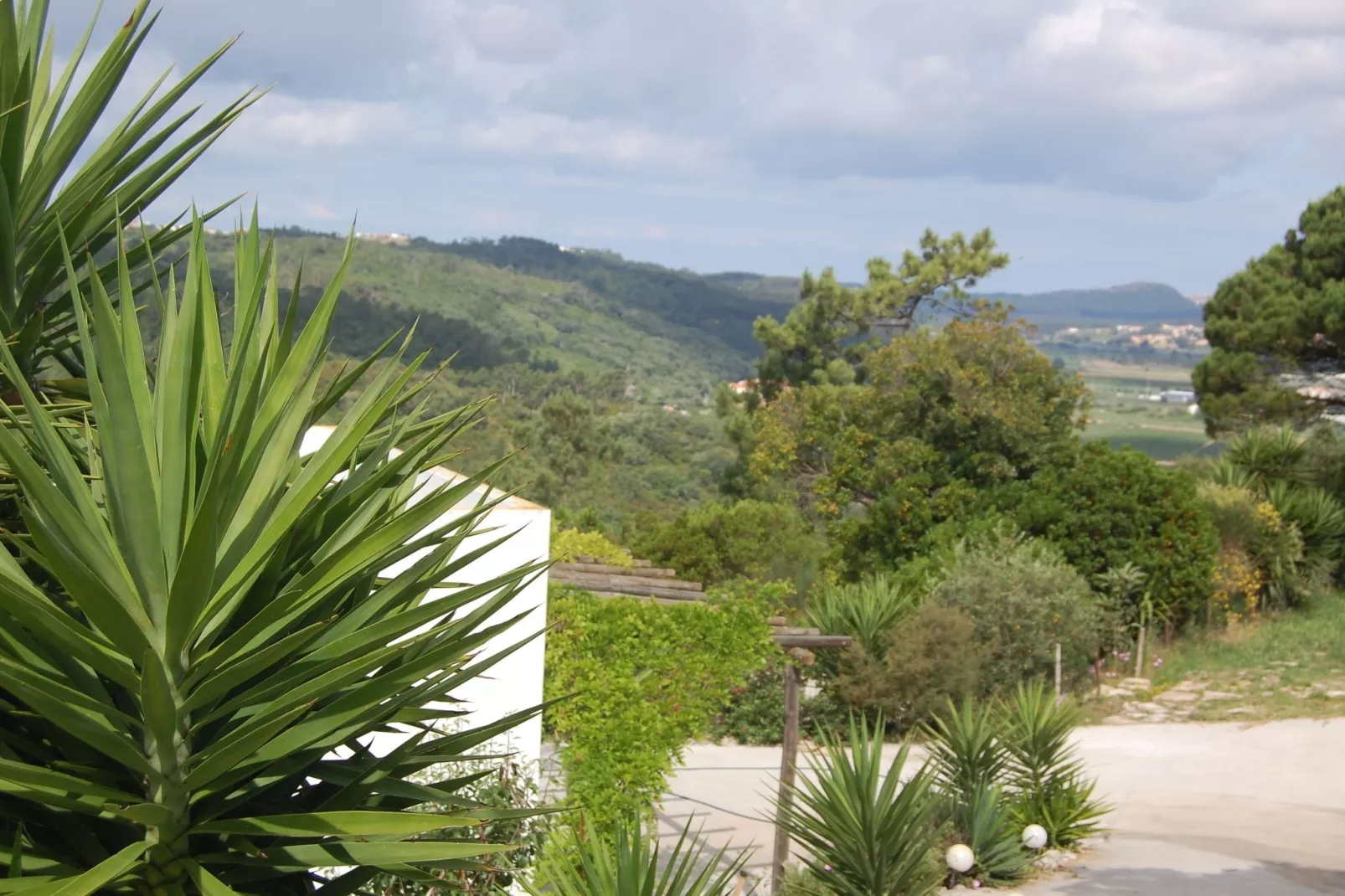 Alto da Maceira-View summer