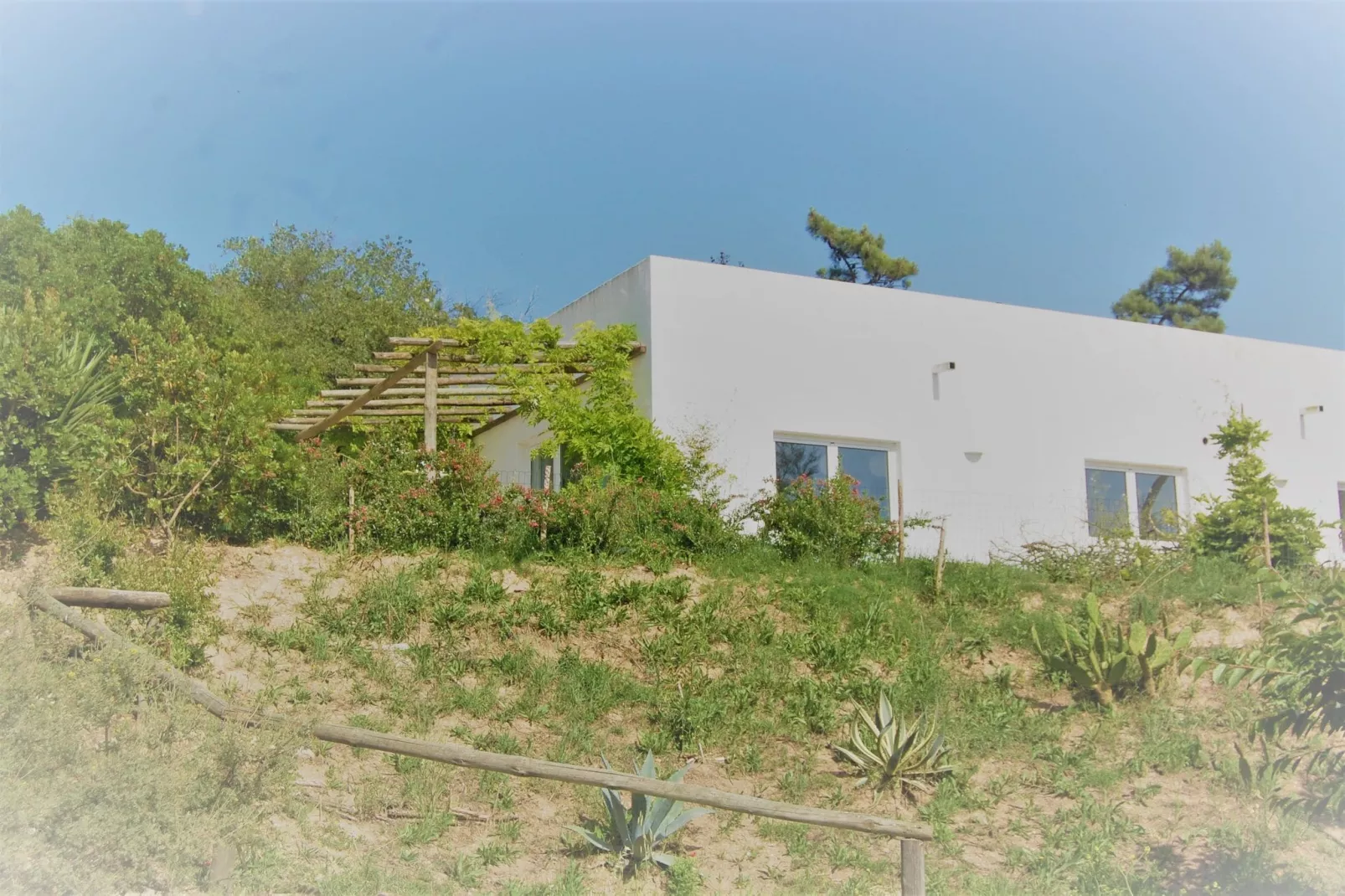 Alto da Maceira-Exterior summer