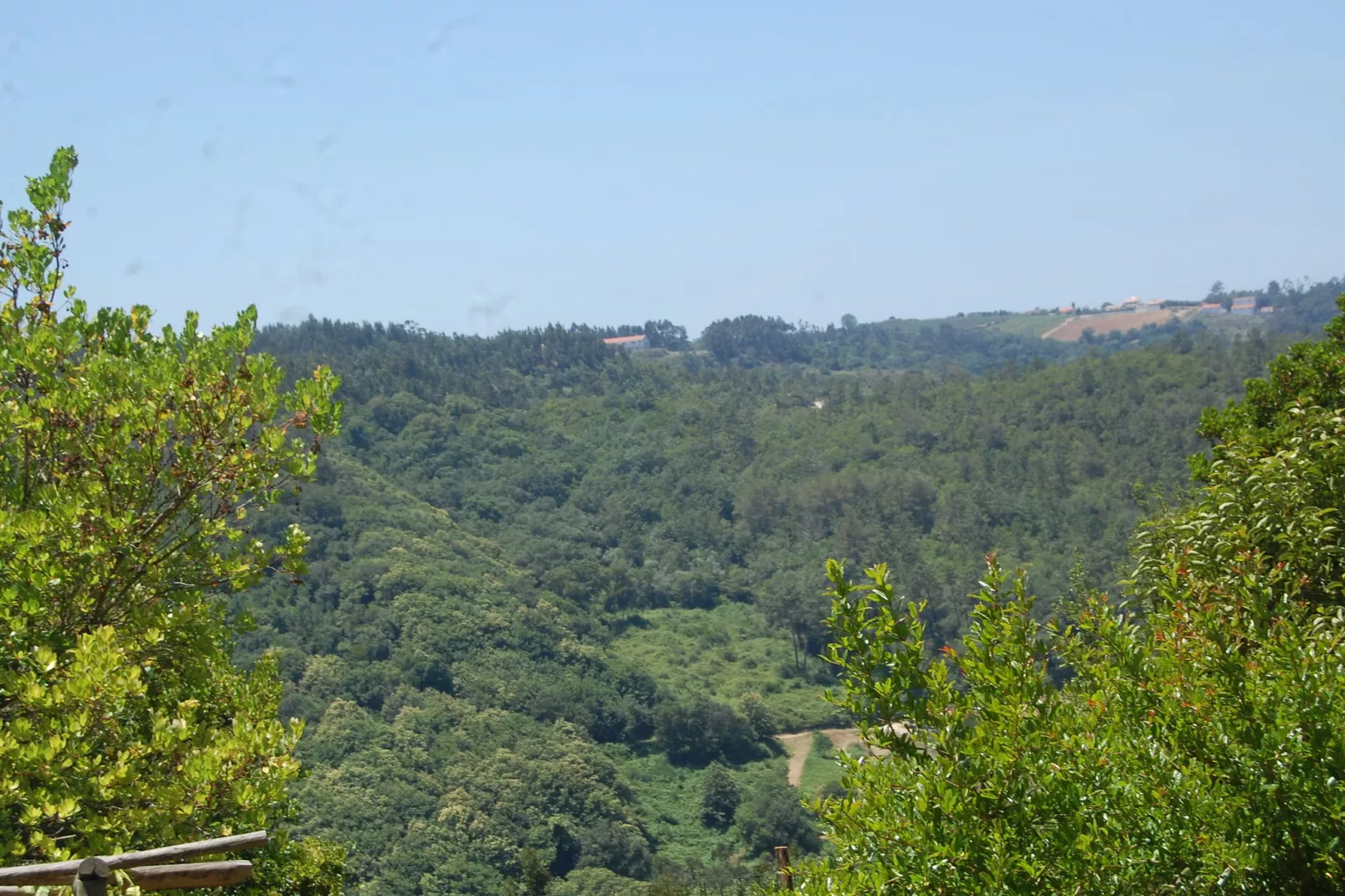 Alto da Maceira-View summer