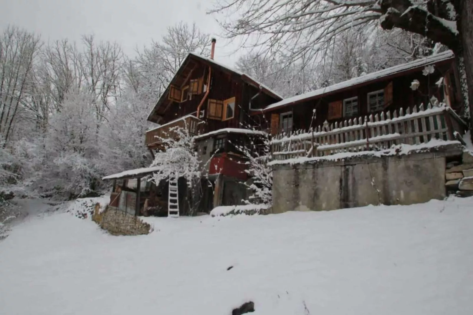 Heidi Chalet-Exterior winter