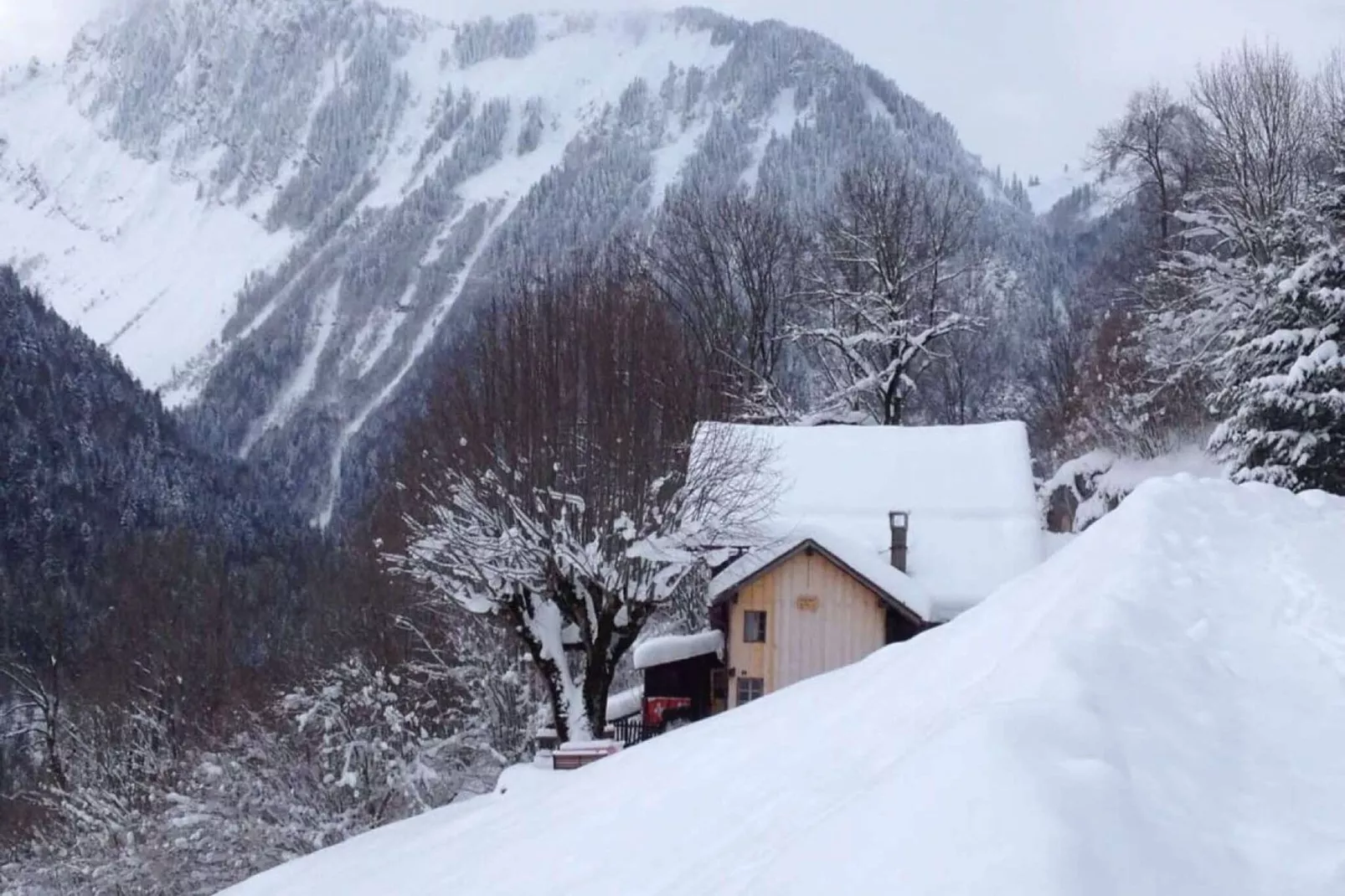 Heidi Chalet-View winter