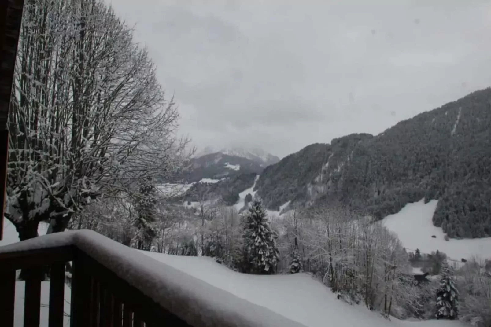Heidi Chalet-View winter