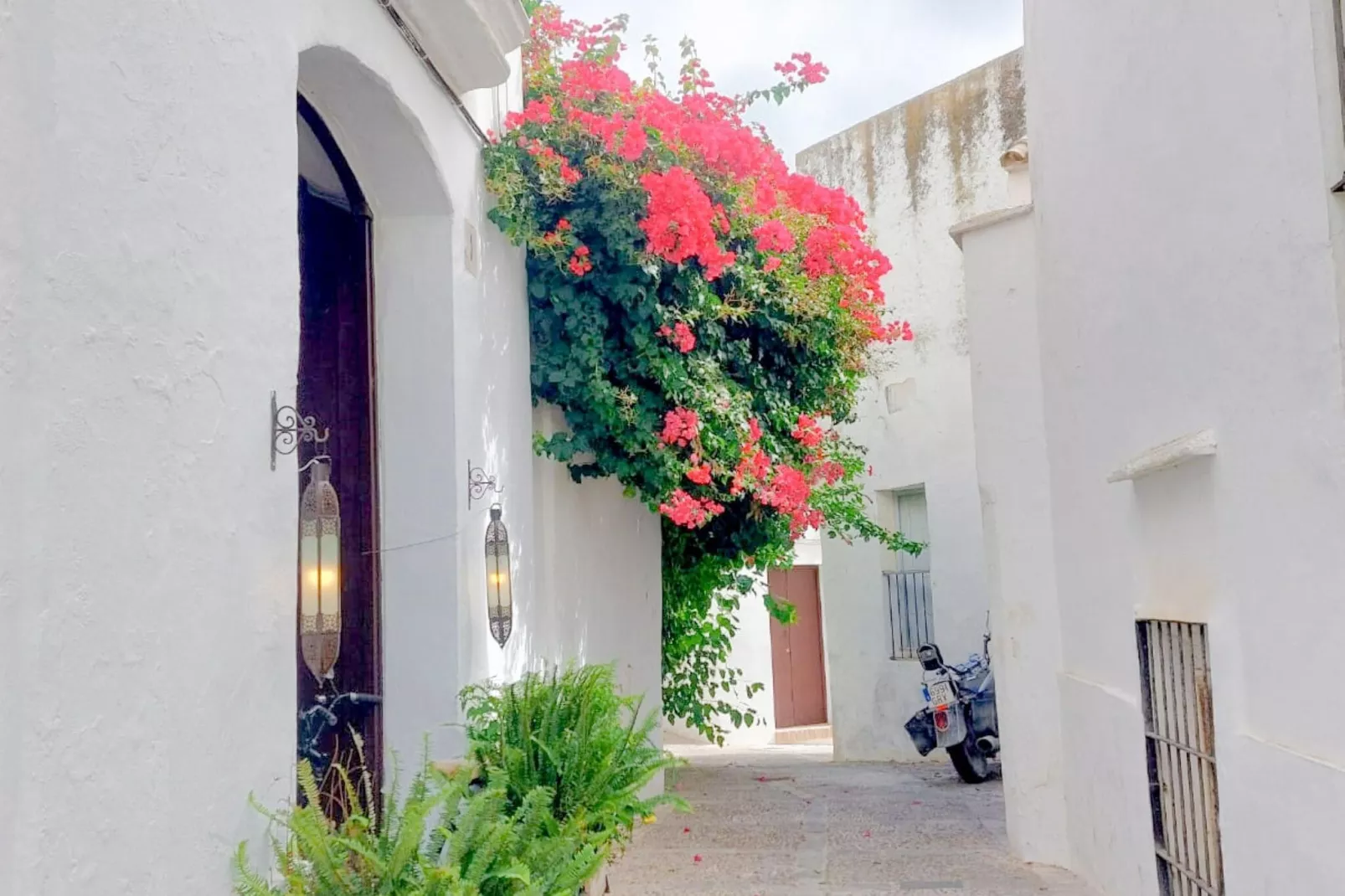 El Porton-Exterior summer