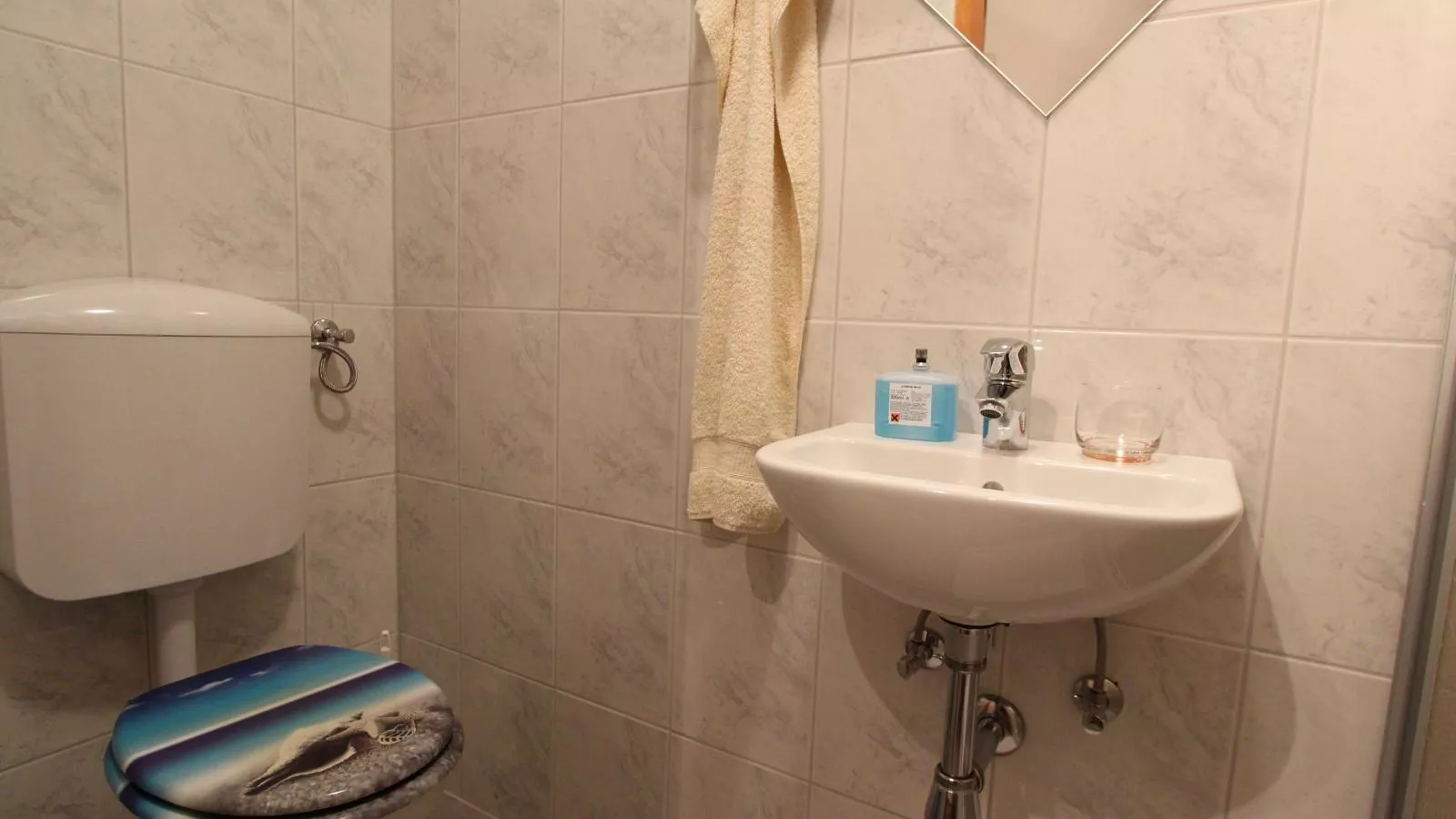 Chalet Sandra-Bathroom