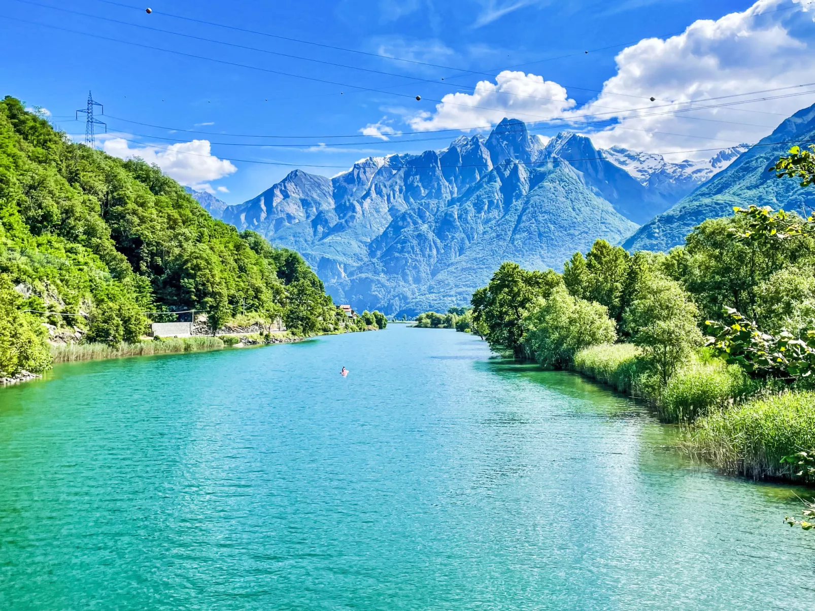 Leonardo-Area