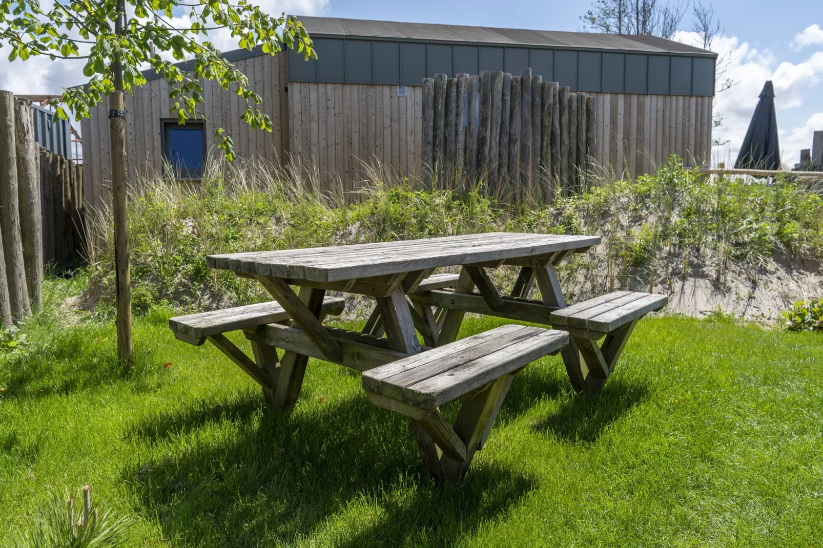 gardensummer