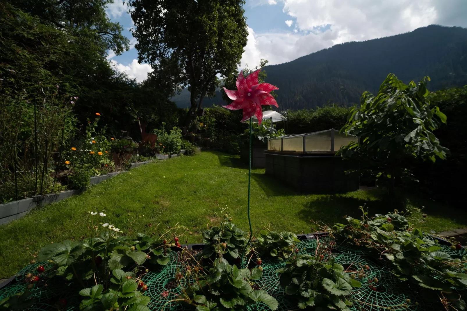 Apartment 2-Gardens summer