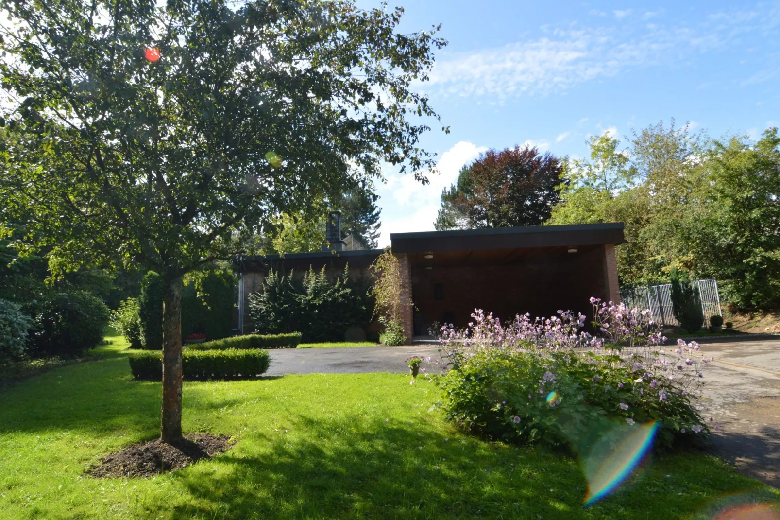 Patio et Jardin-Exterior summer