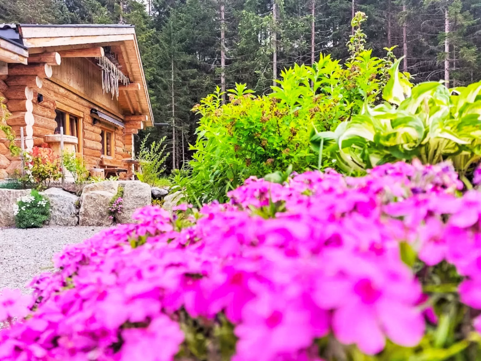 Chalet Lechtraum-Inside