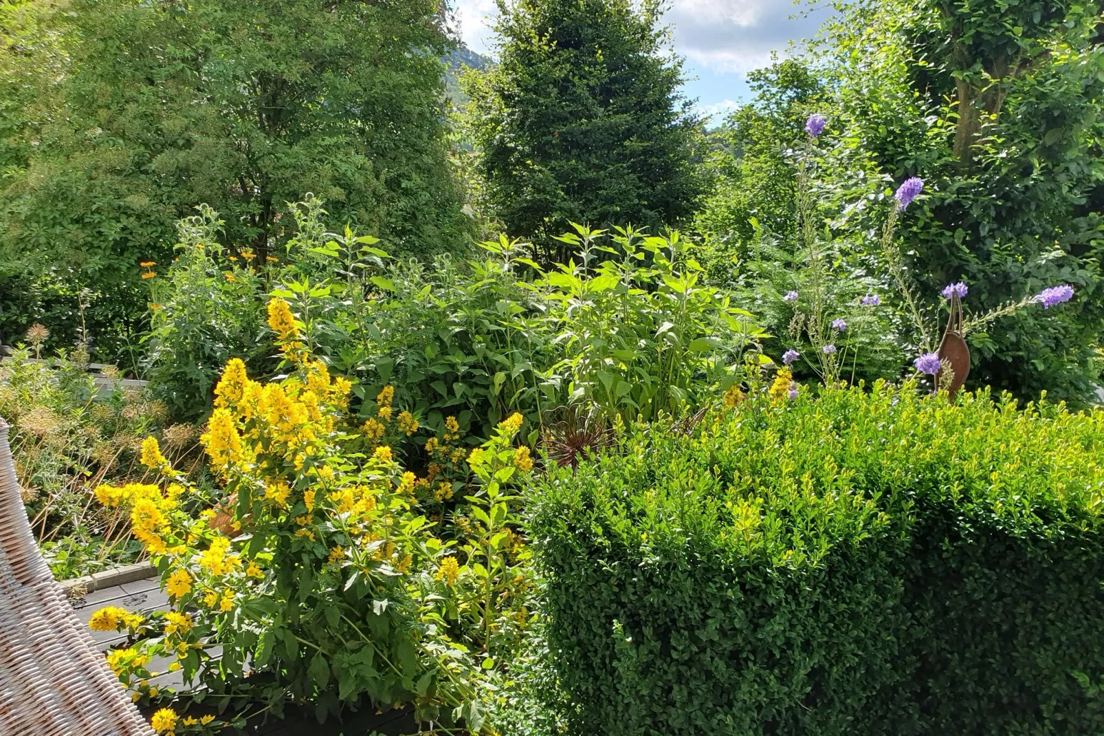 Ferienwohnung Maria Müller-Gardens summer