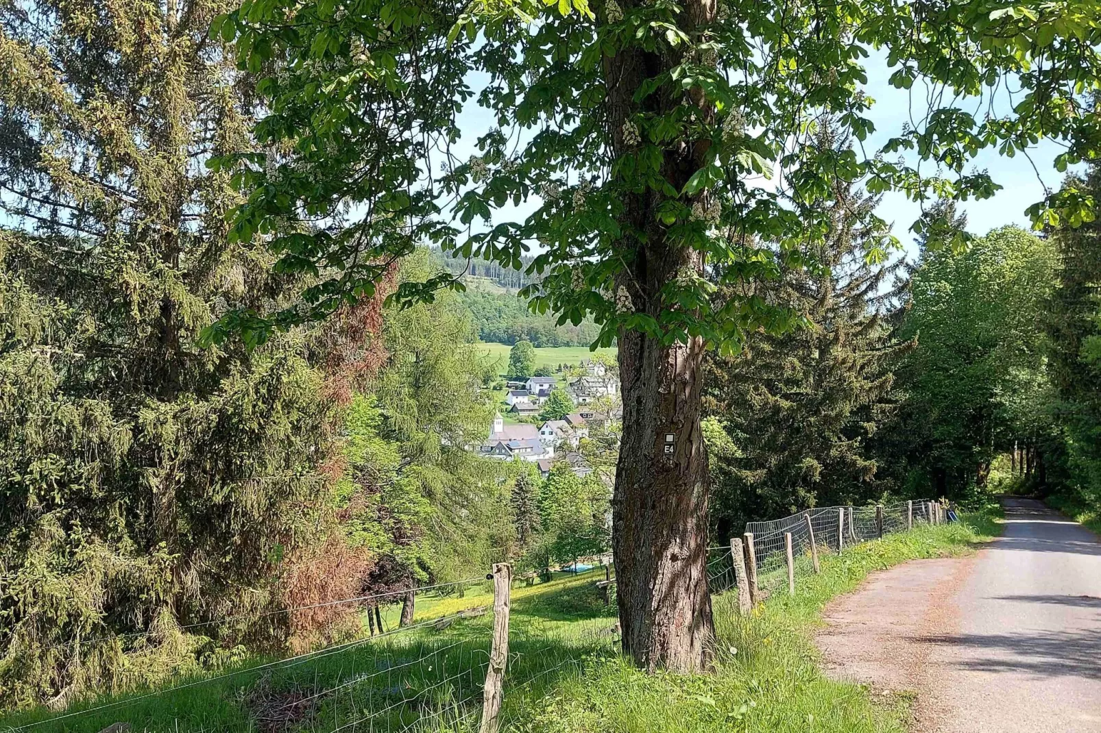 Ferienwohnung Maria Müller-Areas summer 20km