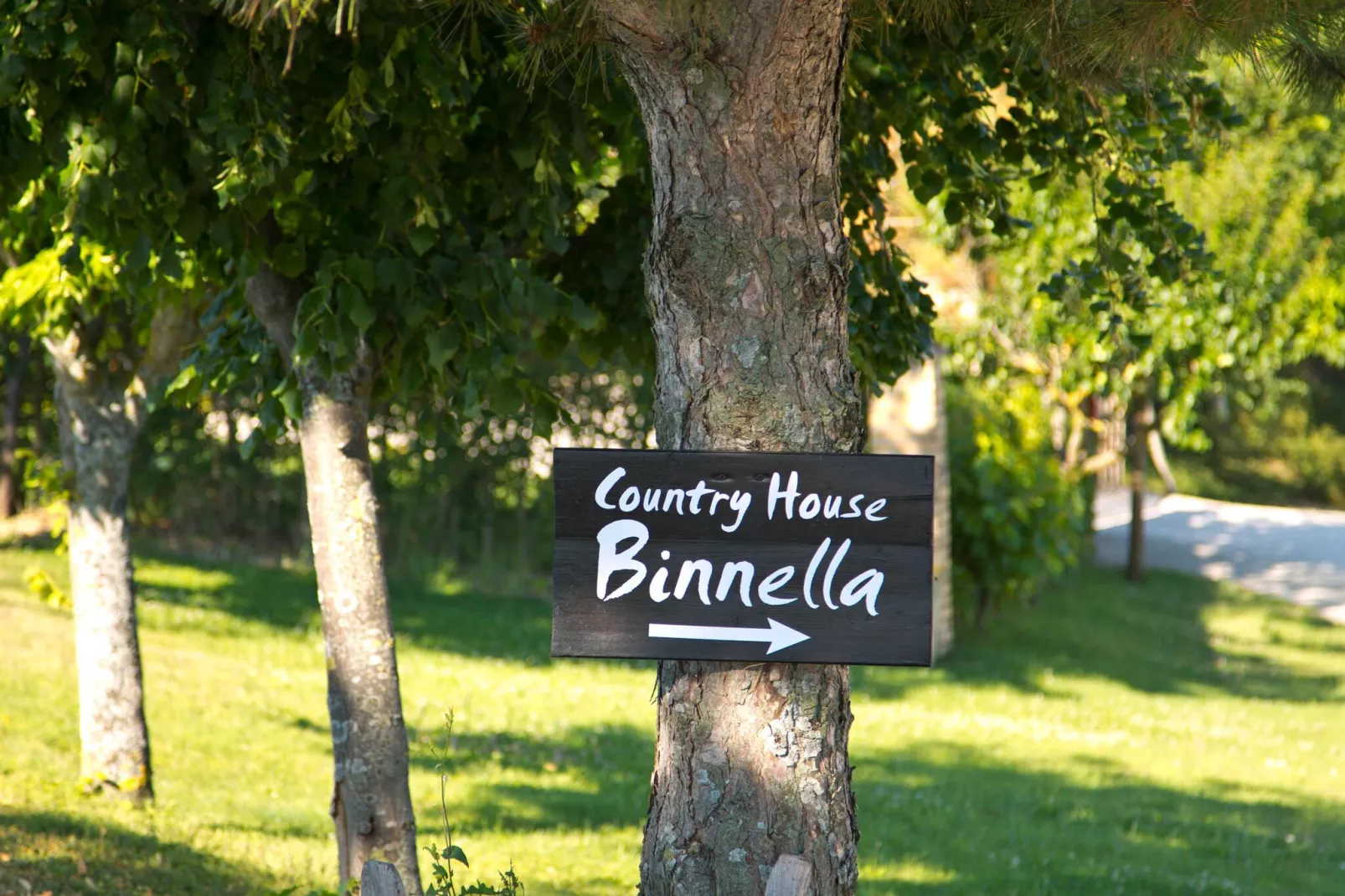 Binnella 10-Gardens summer