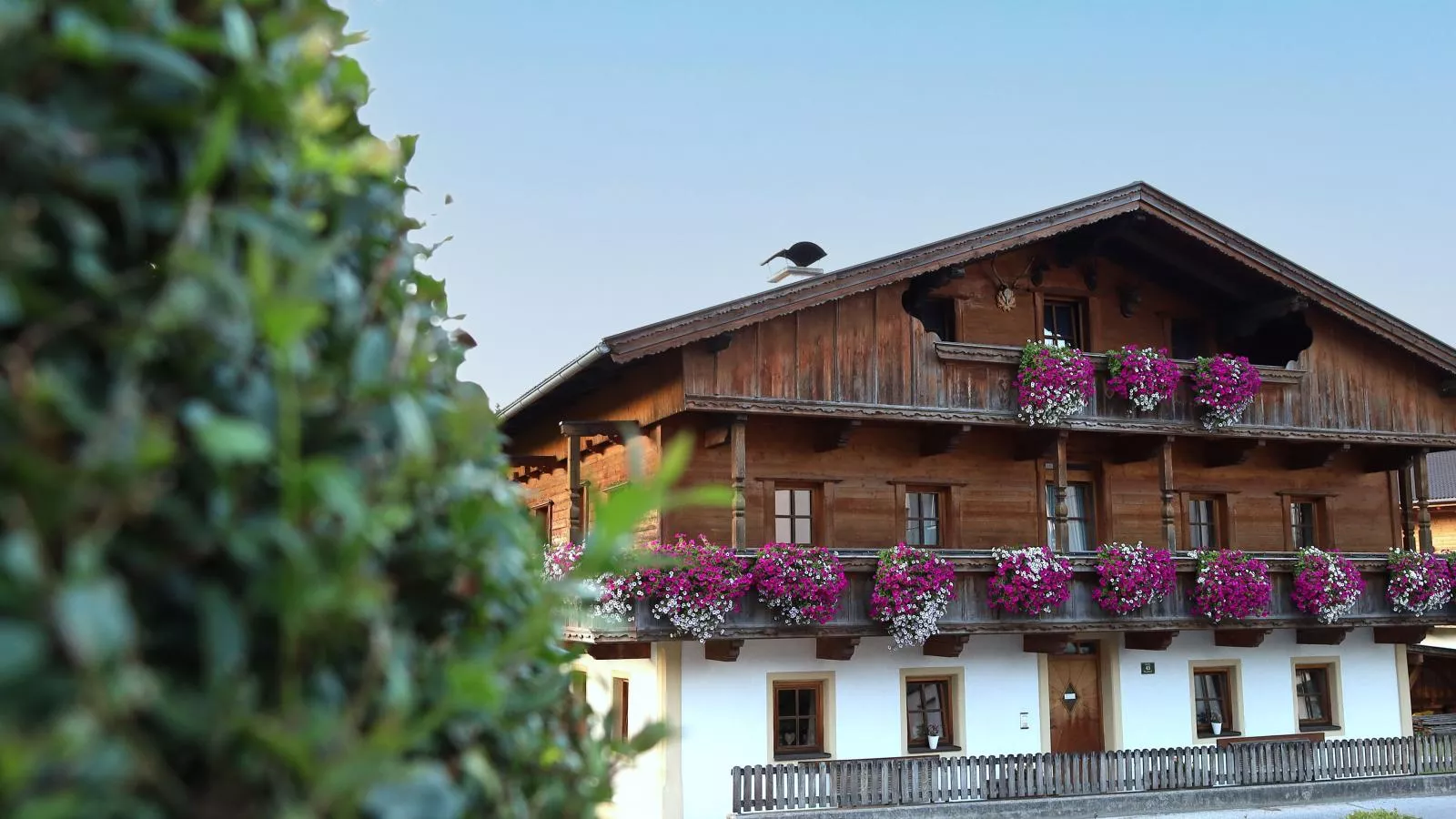 Seppen Top 2-Exterior summer