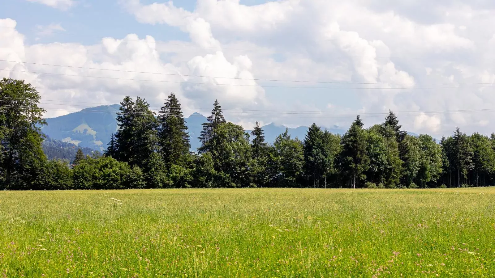 Alpin Hideaway XL-View summer