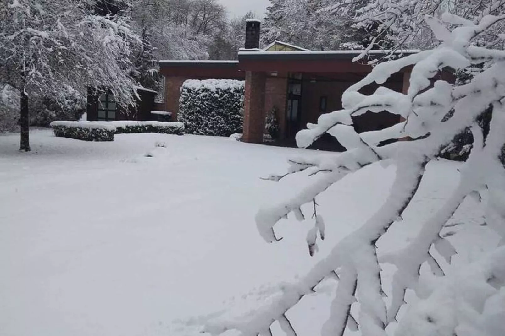 Patio et Jardin-Exterior winter