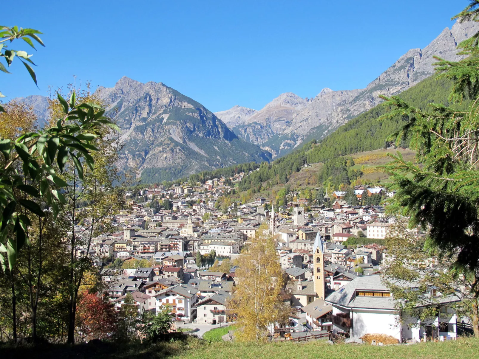 Al Forte-Area