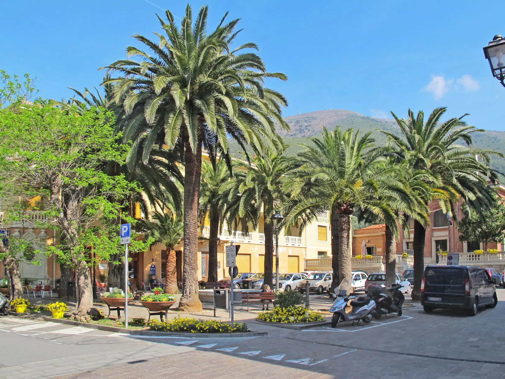 Citrus Garden-Area