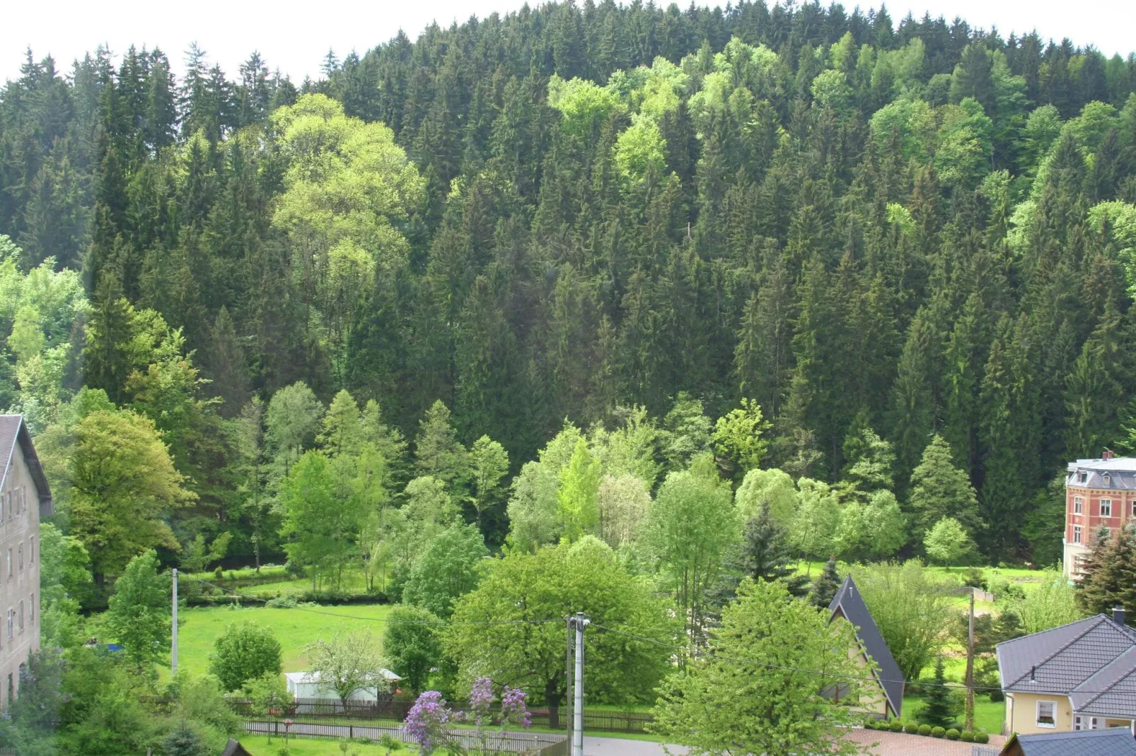 Villa im Erzgebirge-View in summer