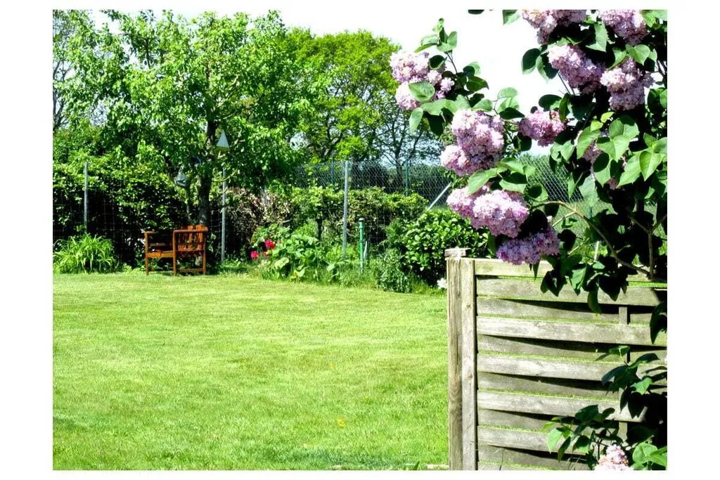 246579-Gardens summer