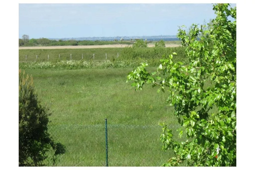 246579-Areas summer 5km