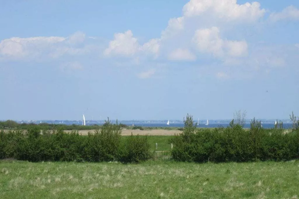 246606-Areas summer 5km
