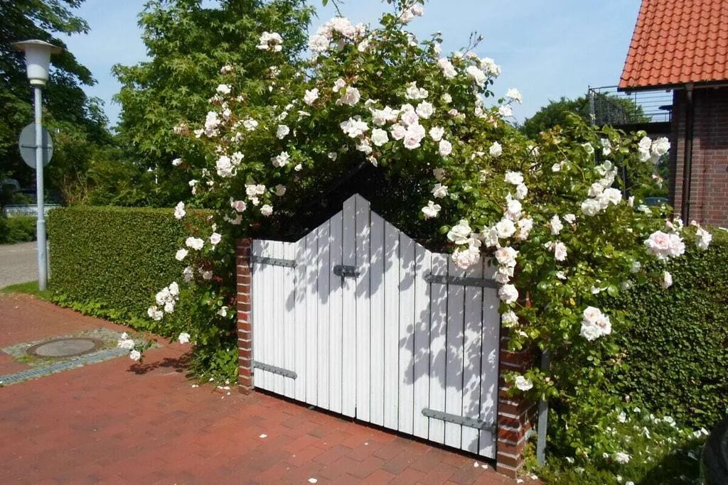hallreception