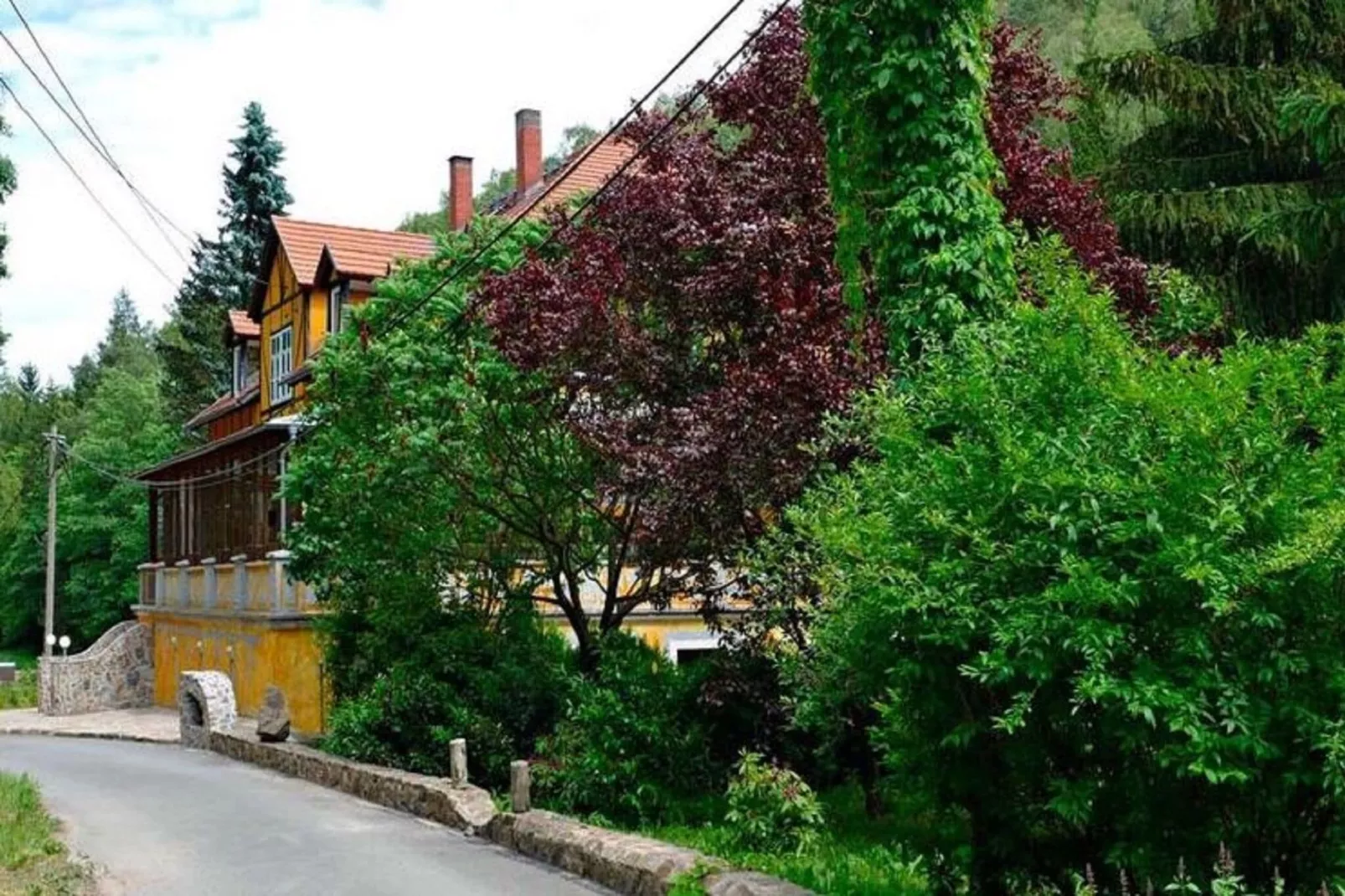 Villa Rotschönberg-Außenbereich Sommer