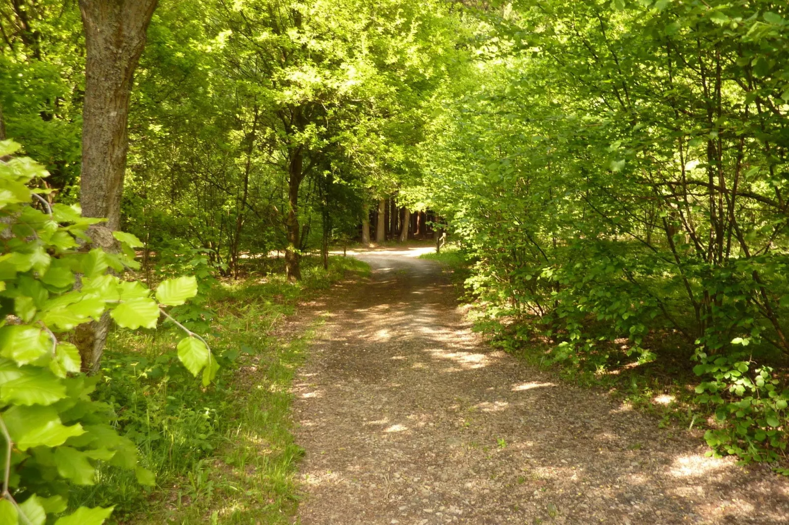 Manonfa-Gebiete Sommer 1 km