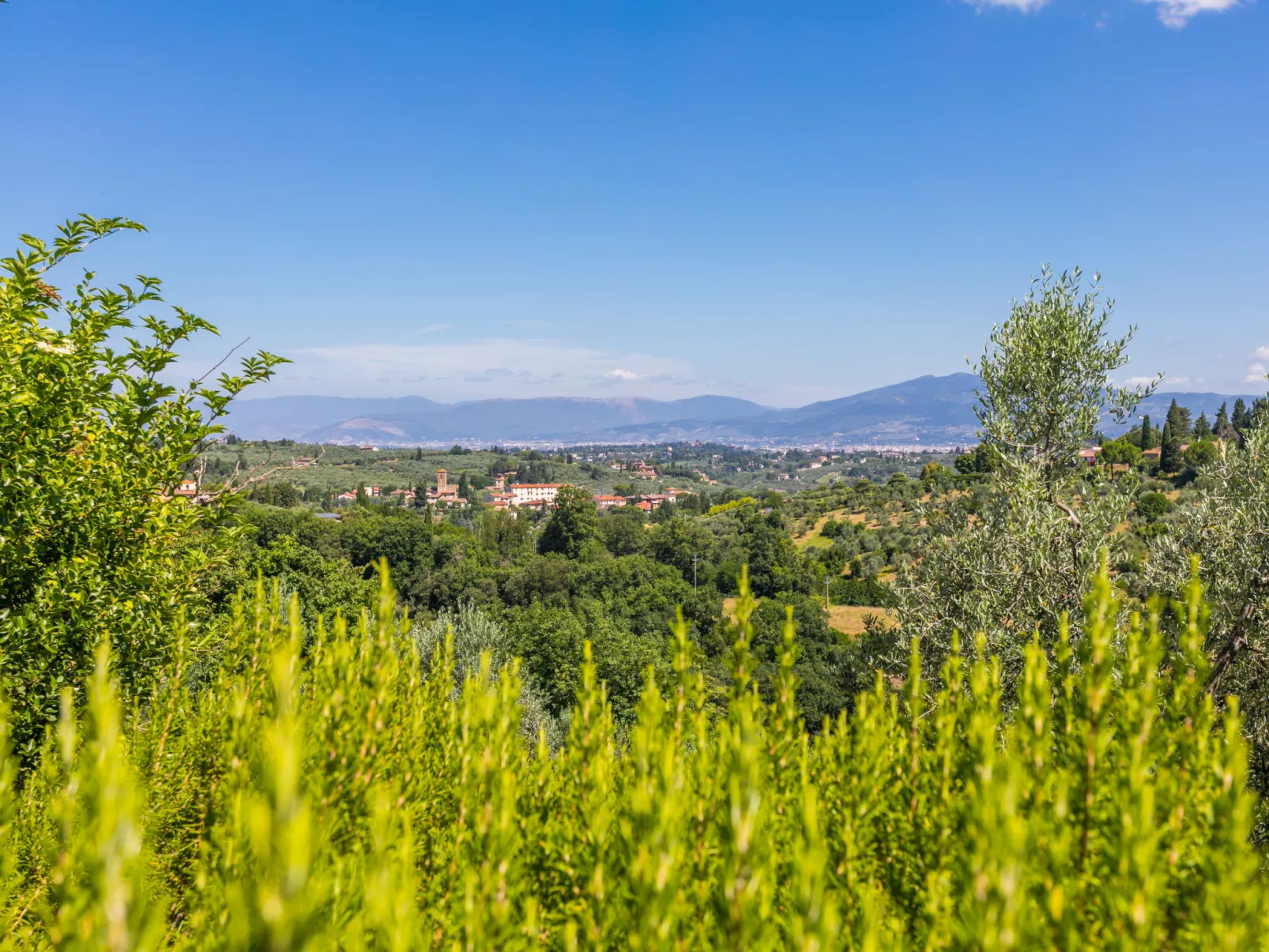 Poggio de'Galli-Draußen