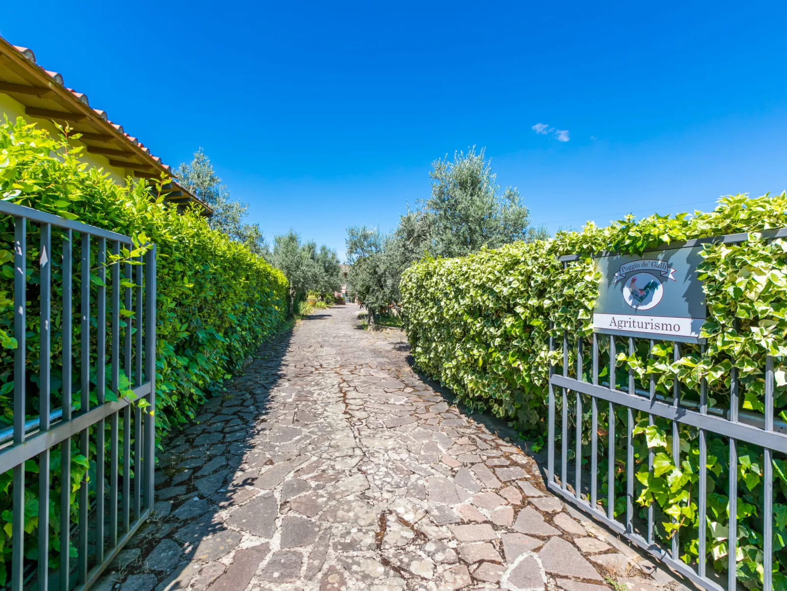 Poggio de'Galli-Draußen
