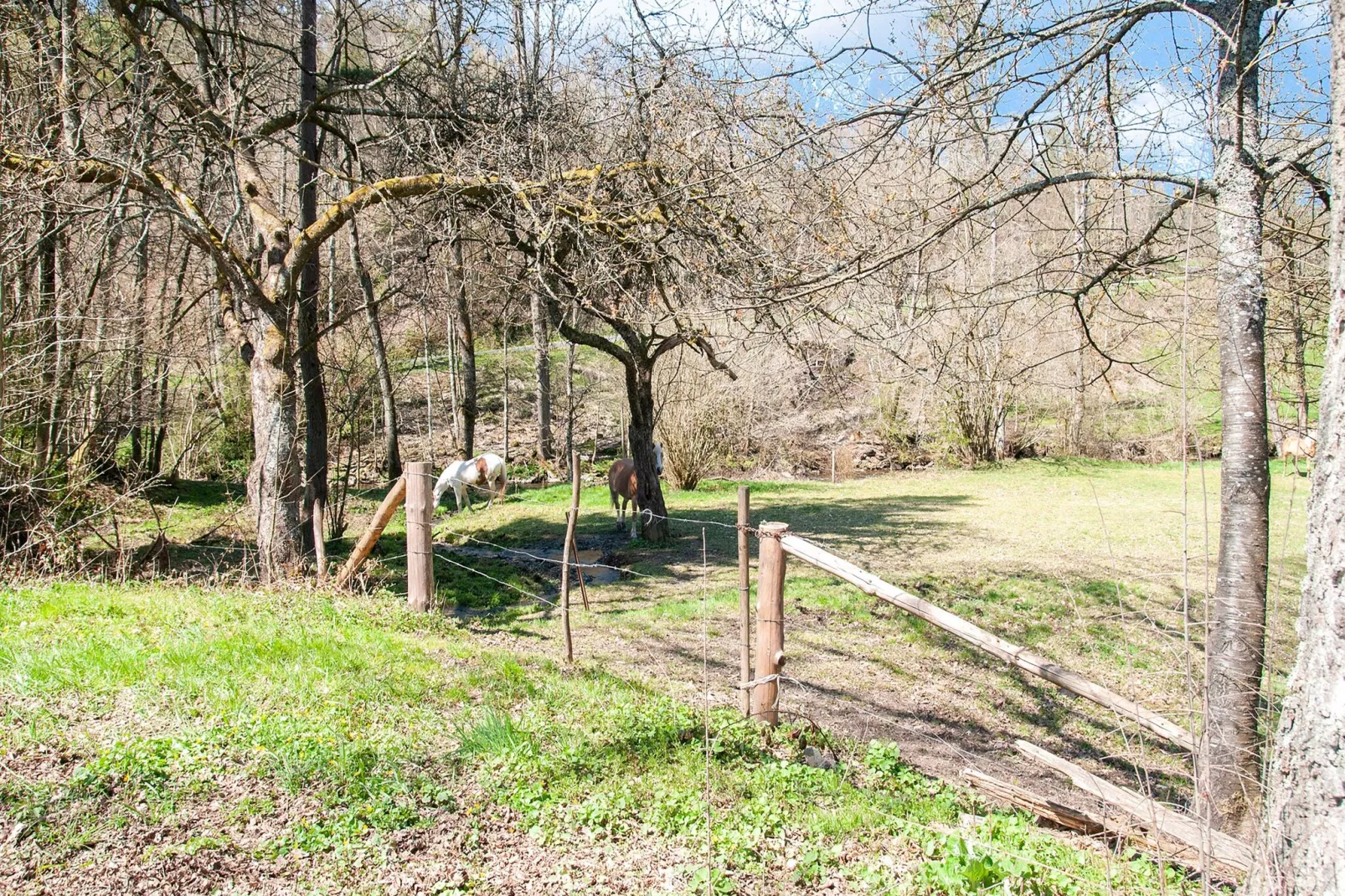 Superbe habitation pour 4 adultes-Areas summer 1km