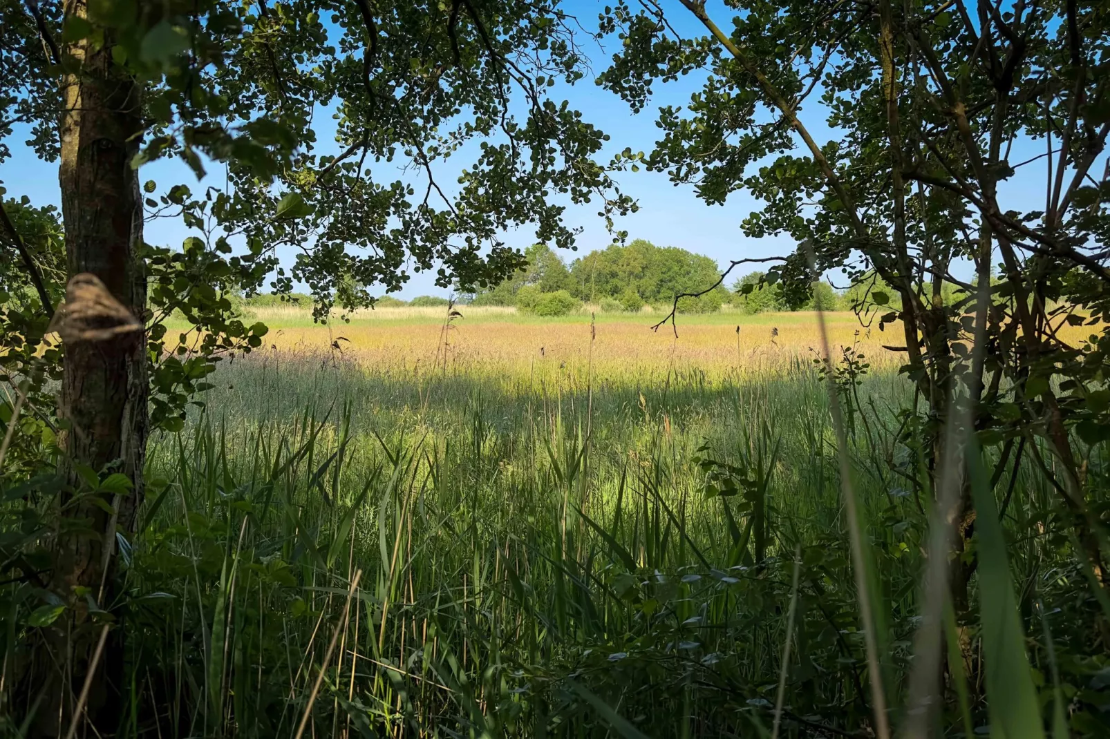 Oane's Huske en it Simmerhuske-Areas summer 5km