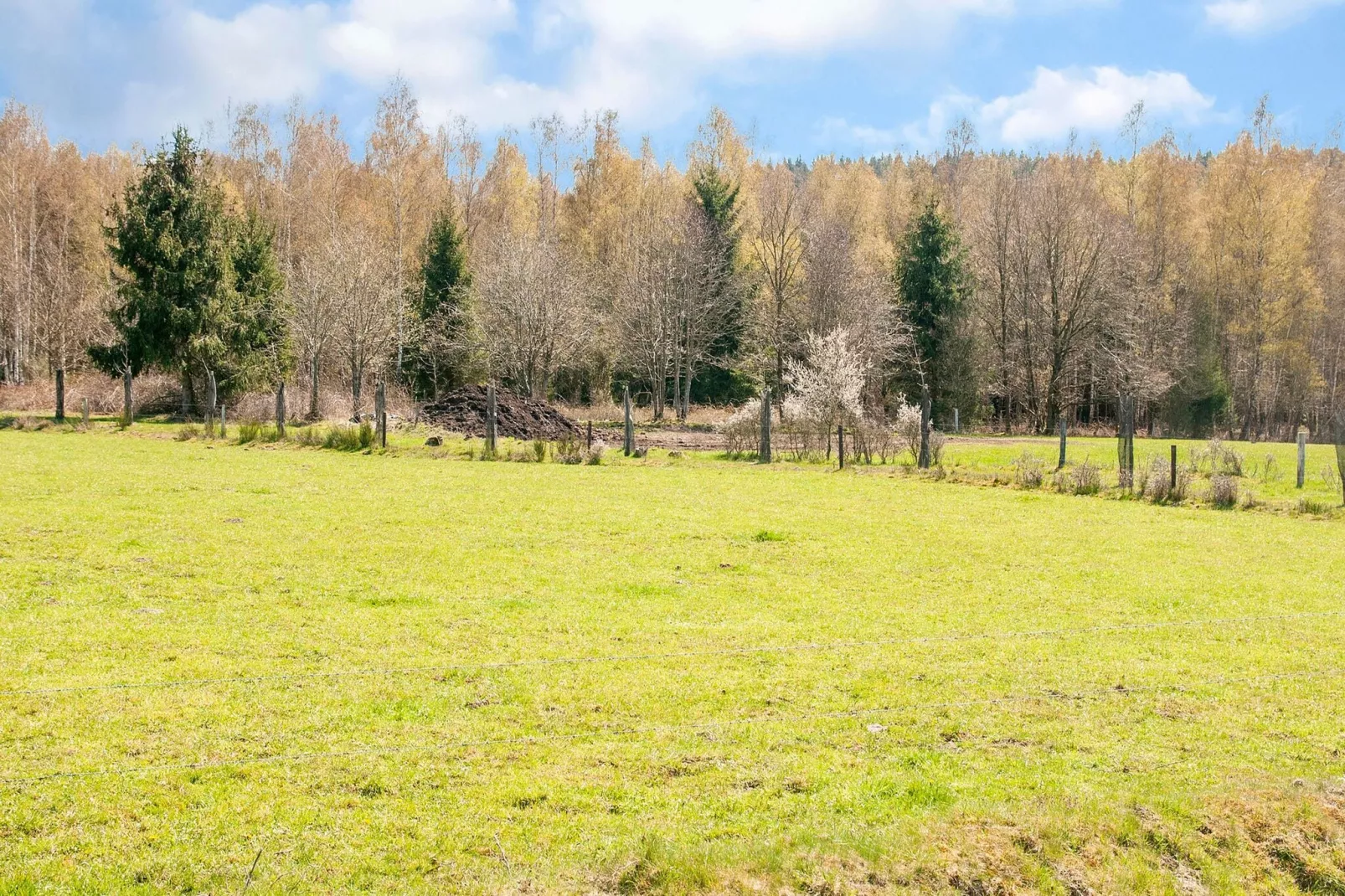 Superbe habitation pour 4 adultes-Areas summer 20km