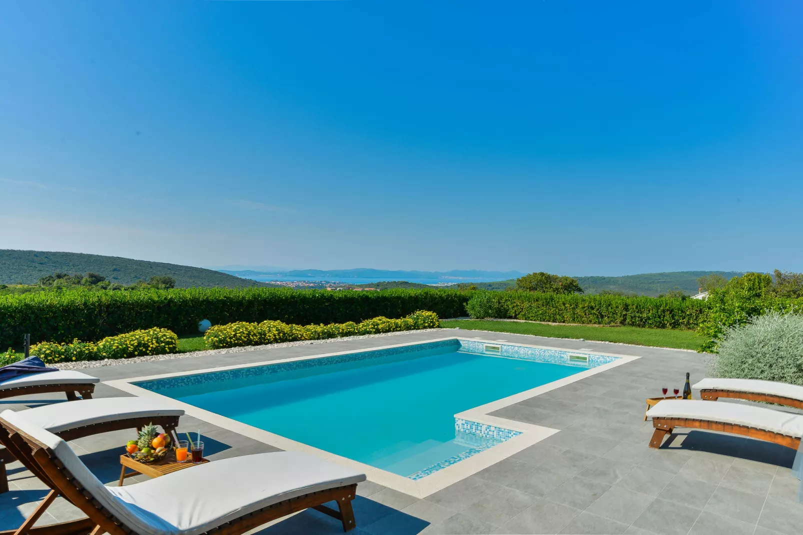 Vila za odmor Željko-Pool