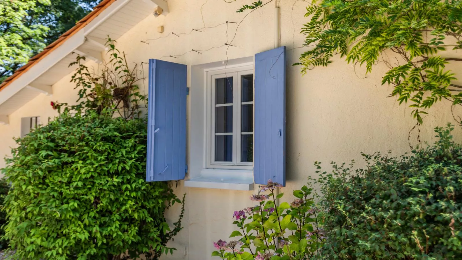 La Maison sur la Colline-Exterior summer