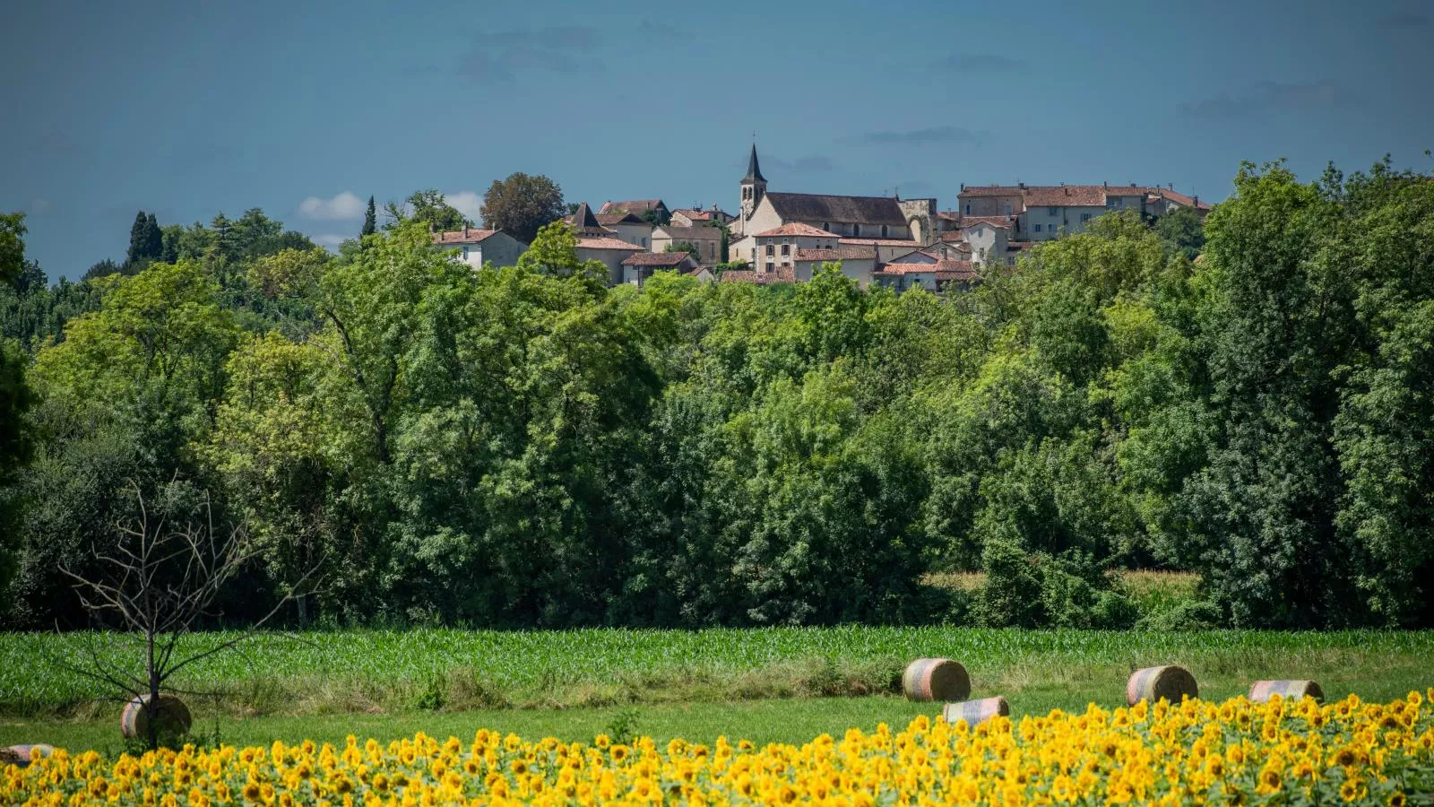 La Maison sur la Colline-View summer