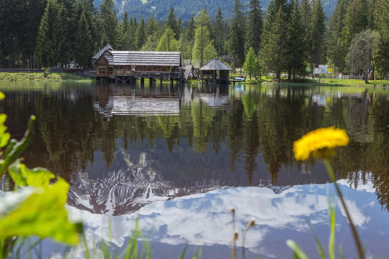 Almdorf Hohentauern 55-Außenbereich Sommer