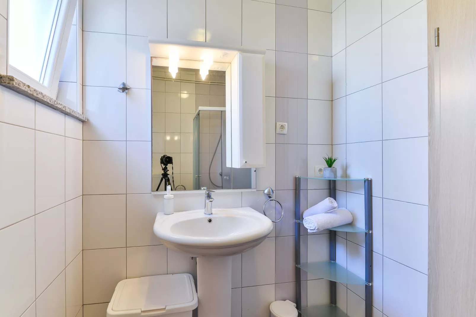 Vila za odmor Željko-Bathroom