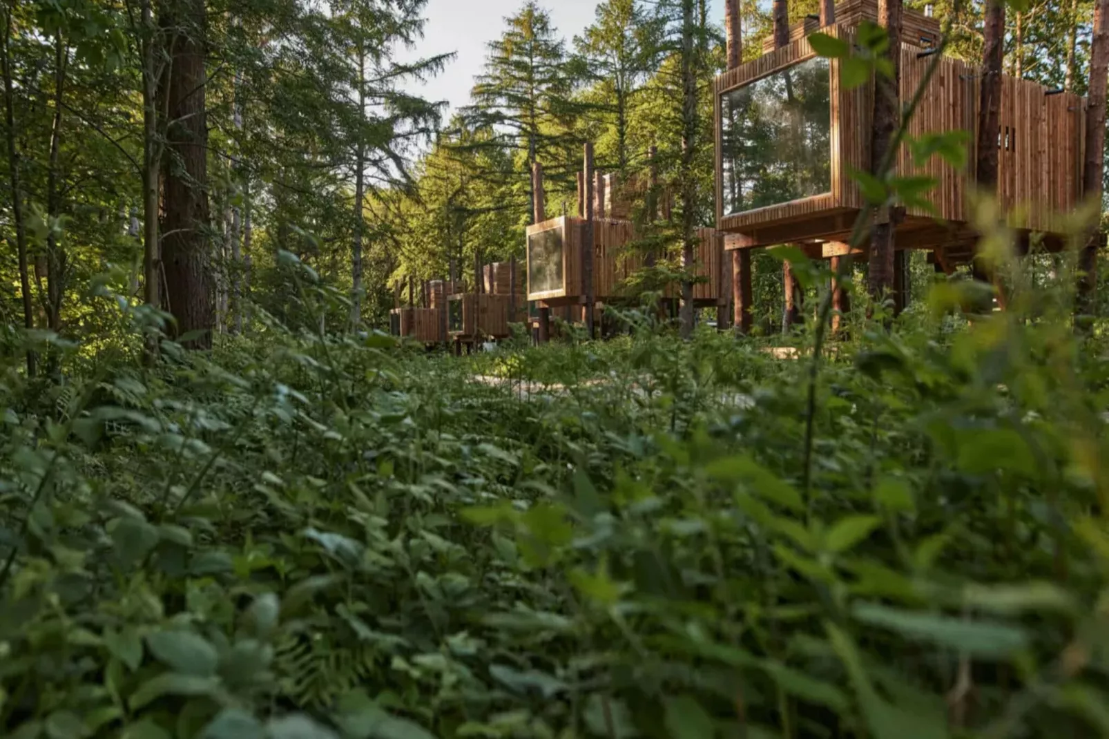 The TreeLoft by YourNature-Exterior summer