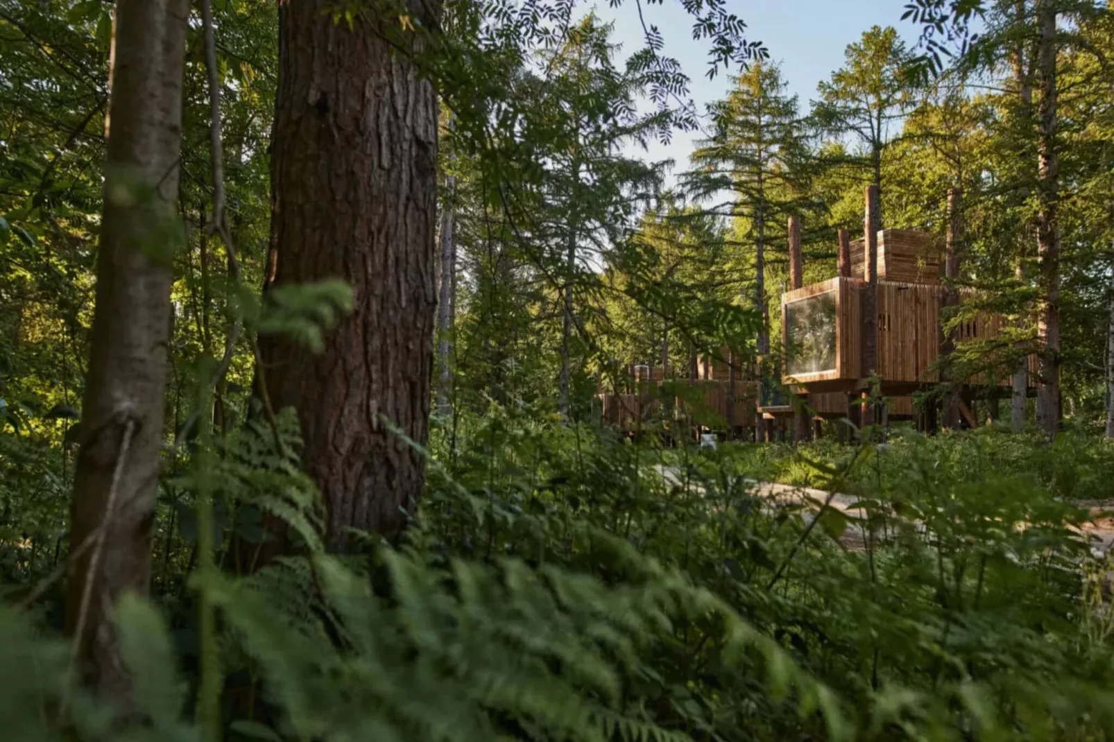 The TreeLoft by YourNature-Exterior summer