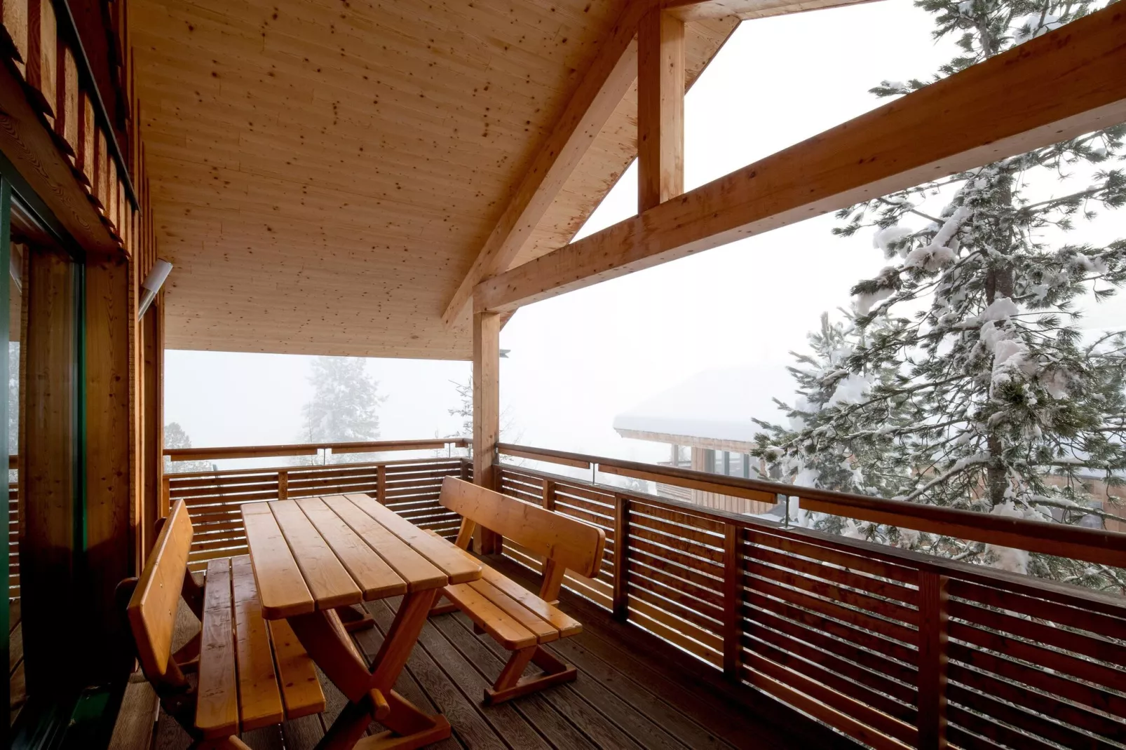 Alpenpark Turrach 36-Terrace balcony