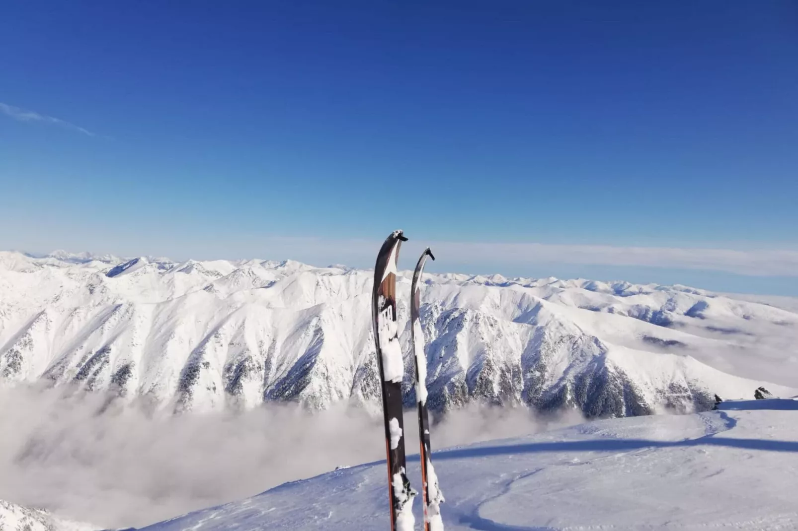 Alpenpark Turrach 39-Area winter 5km