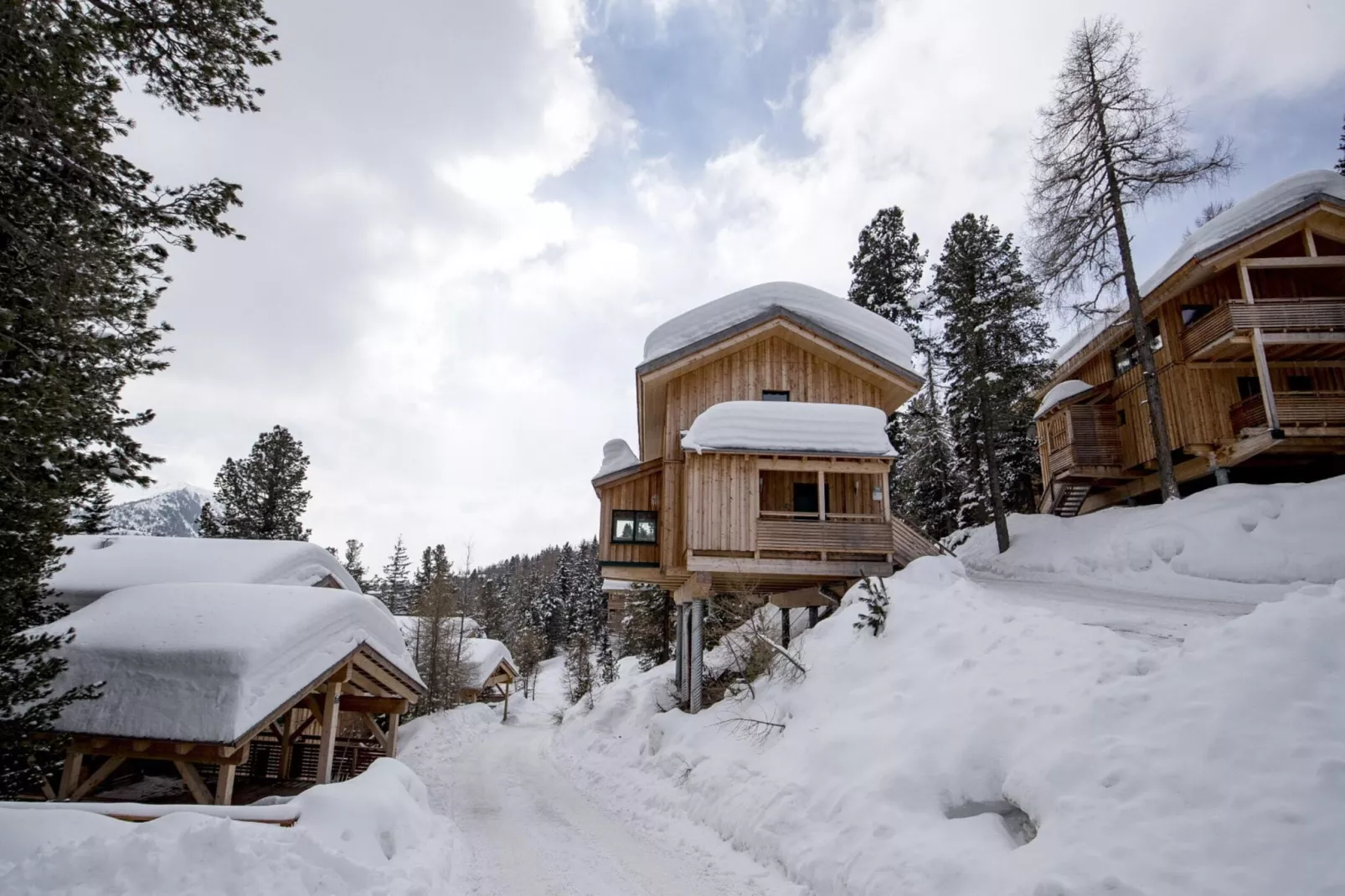Alpenpark Turrach 40-Exterior winter
