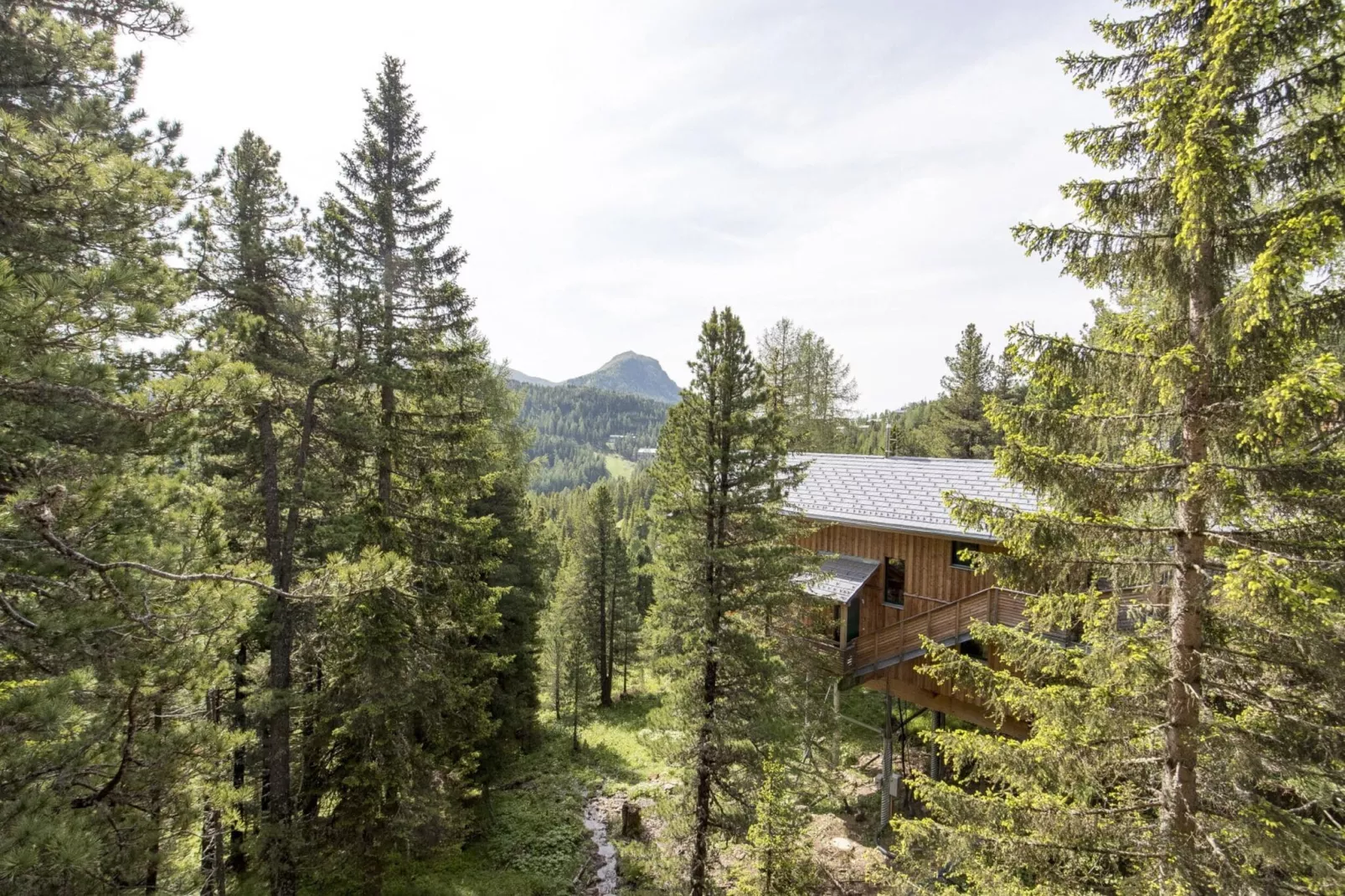 Alpenpark Turrach 43-Areas summer 1km