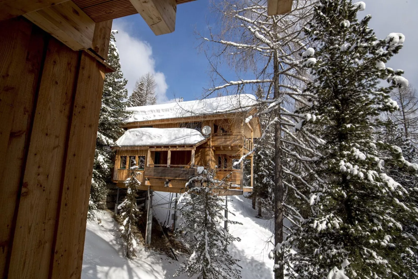 Alpenpark Turrach 43-Garden winter