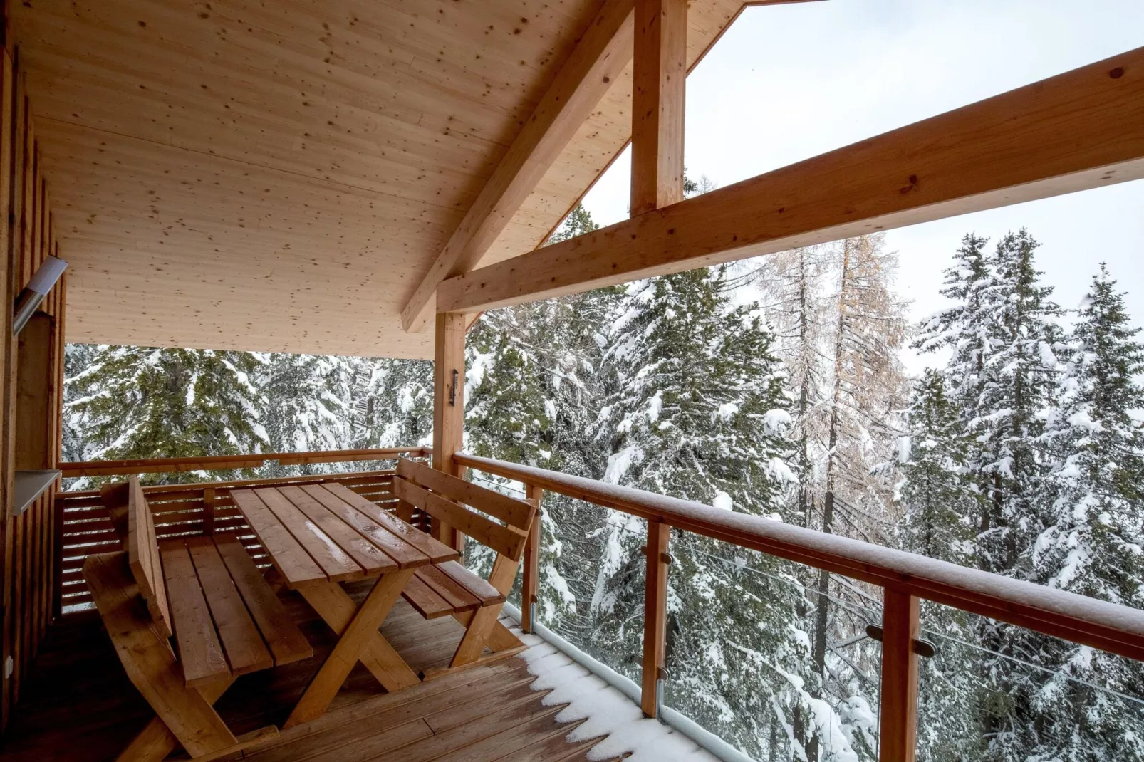 Alpenpark Turrach 43-Terrace balcony