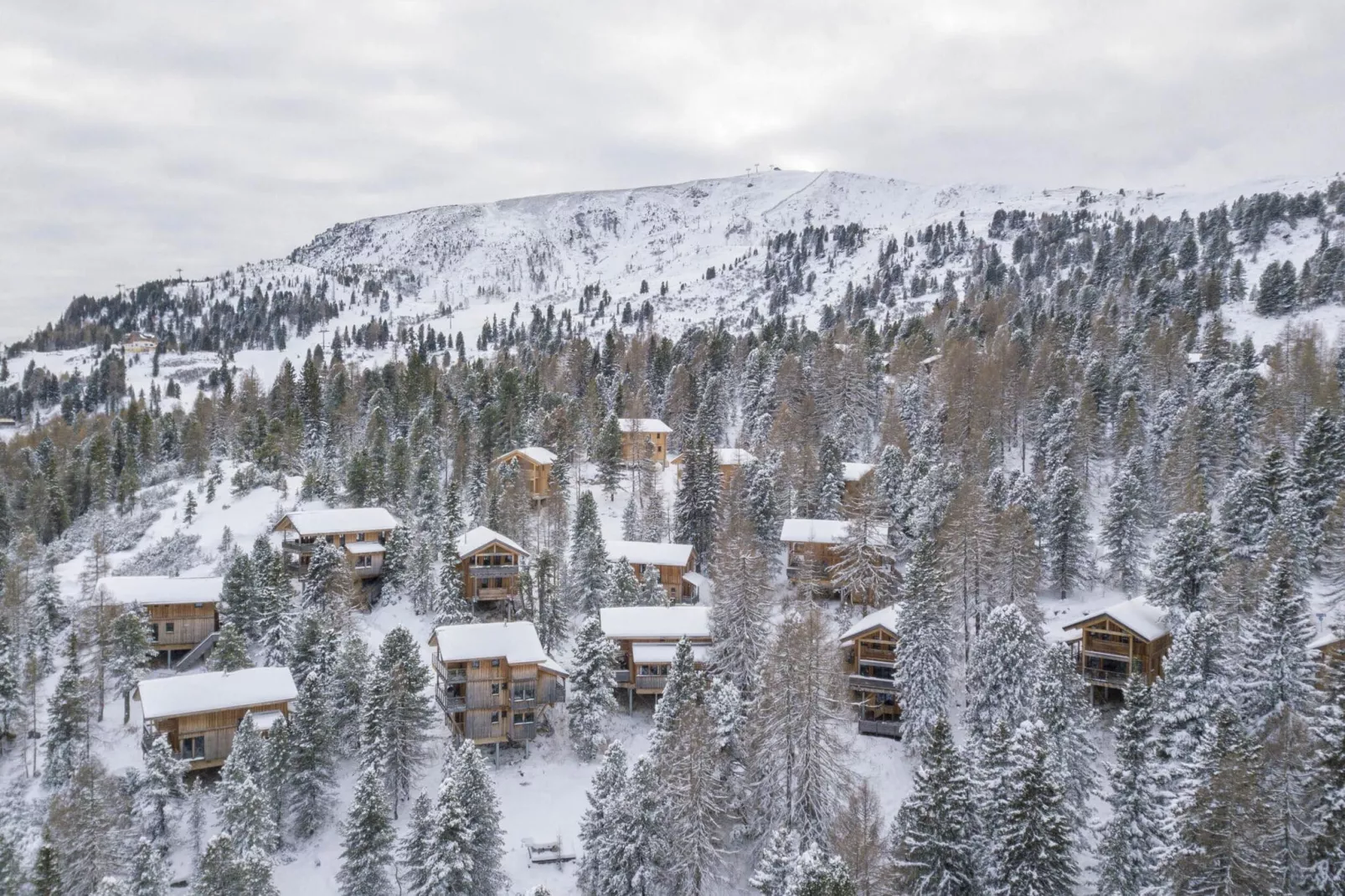 Alpenpark Turrach 45-Area winter 5km